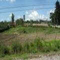 TERRENO EN TUMBACO 15.500 metros Sector buena Esperanza