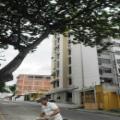 Apartamento en Venta Valencia Edo Carabobo cod. 12-2833