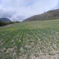 Hermoso terreno Ρlano. Zona Industrial. V�a a Calacal�.