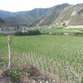 Precioso terreno en venta. Ubicado en Calacal�. Mitad del mundo. 
