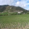 Precioso terreno en venta. Ubicado en Calacal�. Mitad del mundo. 