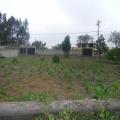Terreno esquinero. 800m2 Calder�n, Bella Vista