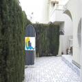 D�PLEX DE DOS PLANTAS