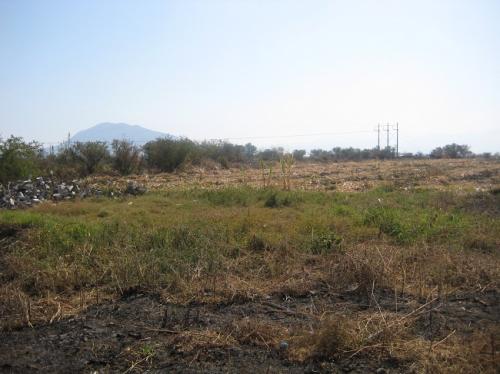 VENDO PARCELA M=24835 M2. $450,000 MN. TLAQUILTENANGO ��LLAME YA!!