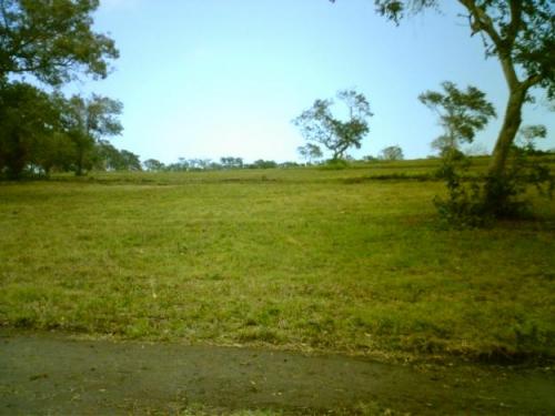 VENDO *HERMOSOS LOTES CAMPESTRES* EN TLAQUILTENANGO COL. LAS CARPAS ��LLAME YA!!