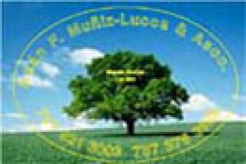 Inmobiliaria Ad�n F. Mu�iz Lucca & Assoc, . Bienes Ra�ces Lic. C-422