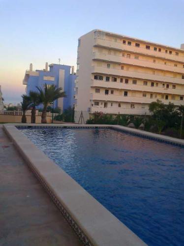 Torrevieja estudio con piscina a 800m de la playa 26.000�