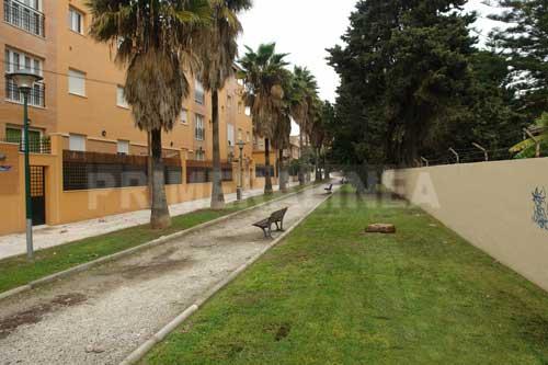 PEDREGALEJO PI-006
