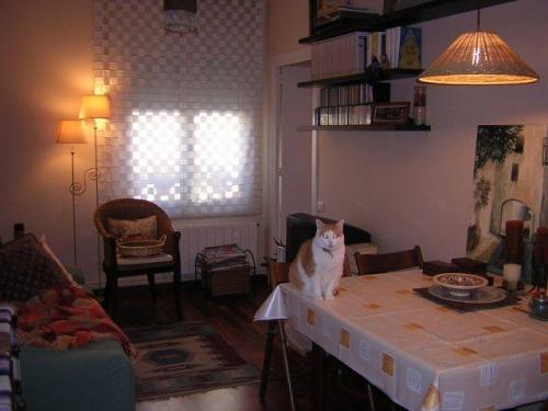 Piso en alquiler en Sants. 60m2 tres habs. un ba�o