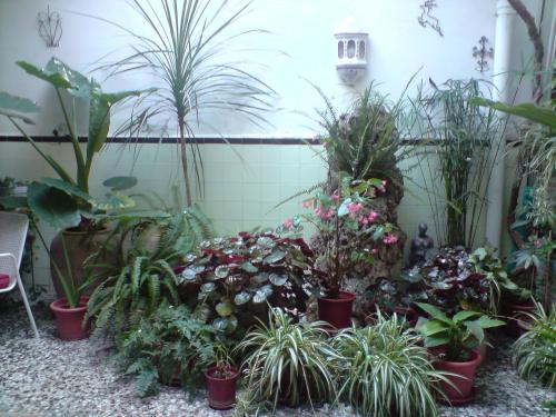 CASA EN CHIVA - CENTRO DE LA POBLACION