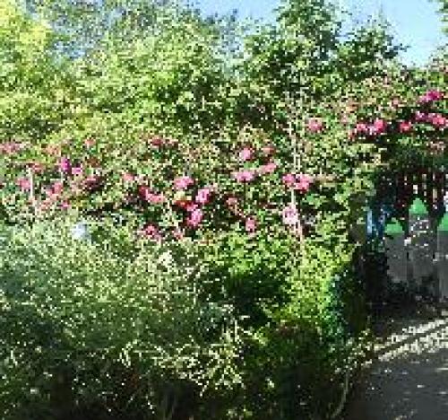 Venta de terreno en Villasana de Mena