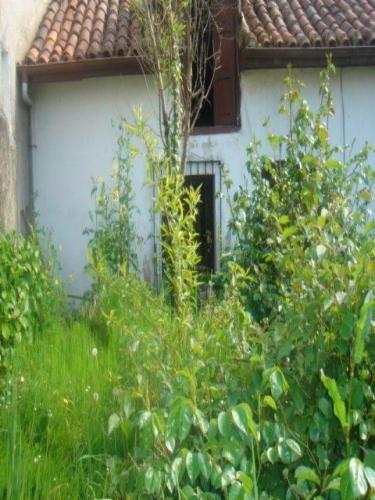 SE ALQUILA CASA RURAL DE DOS PLNATAS CON TRES HABITACIONES