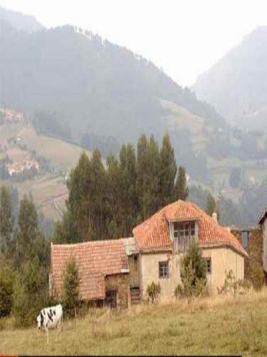 SE VENDE PRECIOSA CASA TIPICA ASTURIANA EN PIEDRA Y MADERA