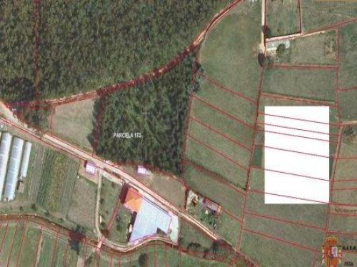 SE VENDE MONTE MUY SOLEADO Y BIEN ORIENTADO AL LADO