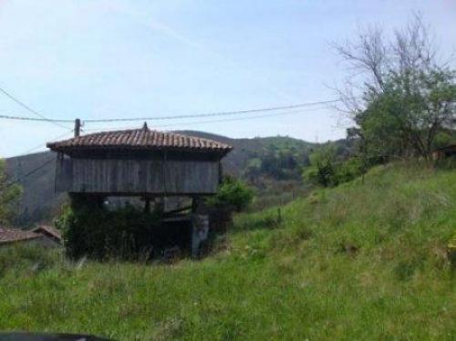 SE VENDE HORREO SOBRE PAJAR DE PIEDRA CON FINCA DE
