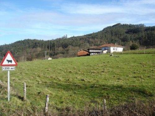 VENDE CASA RURAL DE PIEDRA Y MADERA PARA ENTRAR A