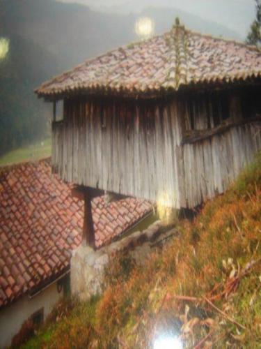 VENDE CASA TIPICA ASTURIANA EN PIEDRA Y MADERA CON HORREO