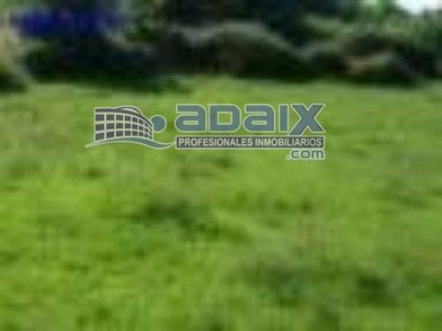 SE VENDE FINCA EDIFICABLE DE 10.000 m2 en Salas con