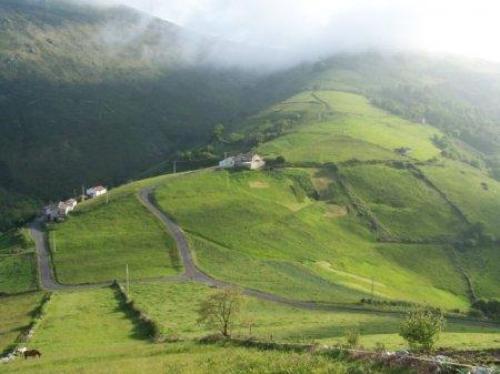 Preciosa cabaña de piedra en parcela plana de 4.000m2 con