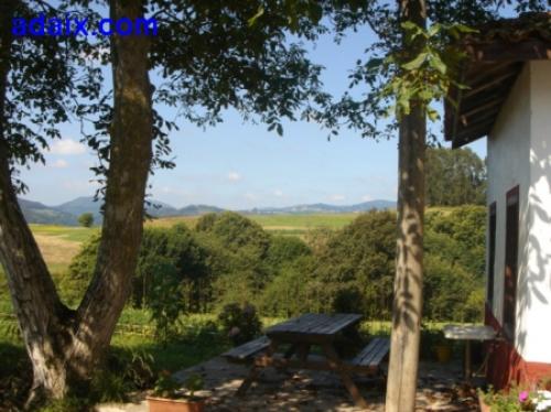 VENDE FINCA DE 1600 m2 CON 3 PANERAS