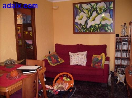 ZONA : SALUD BAJA ( 35.200.000 pts ) Cedro gres