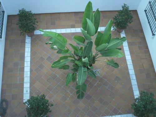 A estrenar. Piso en la calle Larga en el casco