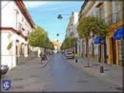 PRECIOSO ATICO-DUPLEX. AMPLIO SALON. 2 BAñOS. SUELO DE PARQUET. VESTIDOR.