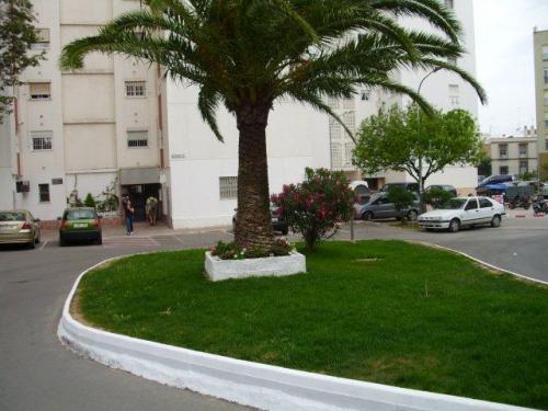 REFORMADO. PZ. DE APARCAMIENTO ENUMERADA. COCINA AMUEBLADA CON ELECTRODOMeSTICOS T