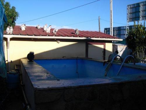 Casa en Calvia ubicada en Magaluf.Casa en venta de 92