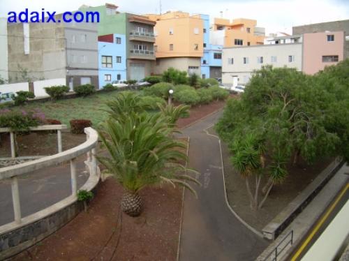 Edificio con local comercial con tronja y cuatro metros de