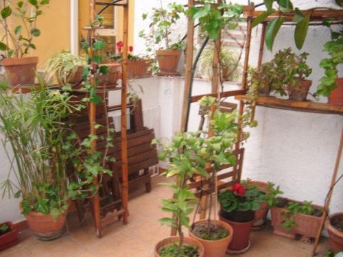 PISO EN CASCO ANTIGUO CALLE SAN LORENZO PISO REFORMADO 100M2