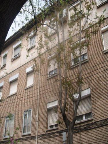 PISO EN CIUDAD JARDIN 3 DORMITORIOS MAS SALON PARA ACTUALIZAR