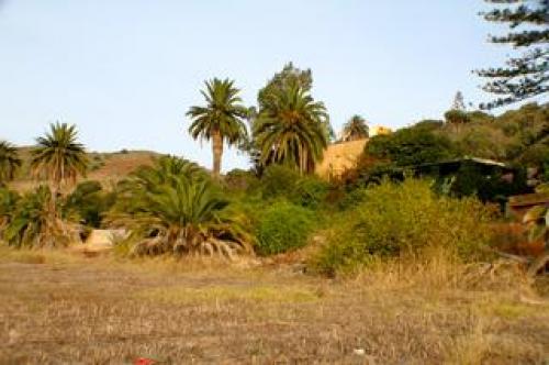 preciosa finca con amplia construcción en tafira baja