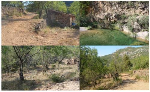 SE VENDE UNA FINCA CON CASETA DE APEROS EN LLUCENA DEL CID (CASTELLON)