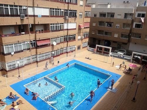 Apartamento 1 + 1 dormitorio  con piscina centro Torrevieja