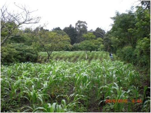 VENDO Lote Km. 29.5 Carretera a El Salvador 