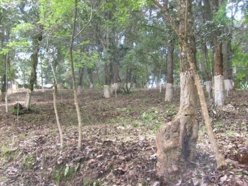 Precioso terreno en Bosques de Santiago