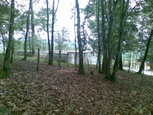 2 LINDOS LOTES JUNTOS