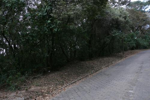 Terreno en el Encinal