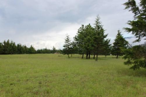 Vendo Terreno en Hacienda Nueva Country Club