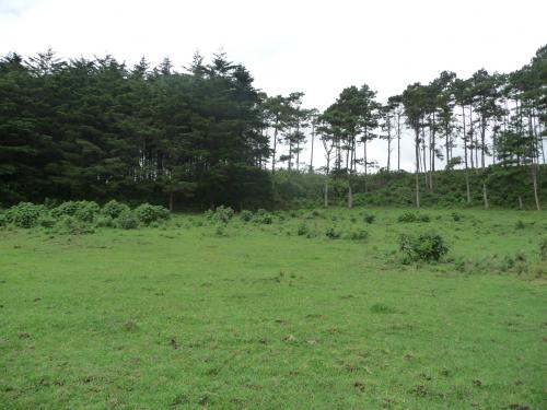 PRECIOSO  TERRENO IDEAL PARA  PROYECTO HABITACIONAL