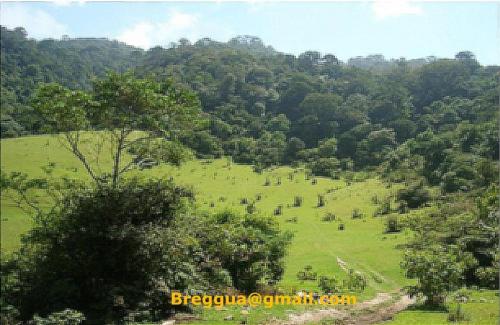 Venta Terreno San José Pínula 42.94 Manzanas