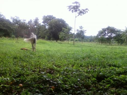 SAN FERNANDO DE LA COSTA
