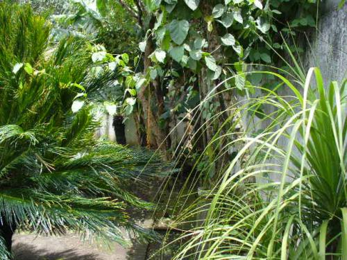 ZANA 9 VENTA CASA PARA BOTAR O REMODELAR