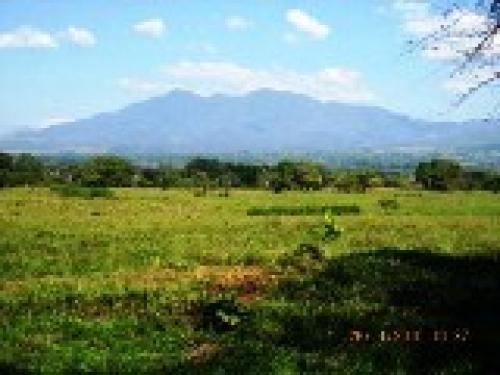 PRECIOSA FINCA DE  3.53 CABALLERIAS IDEAL PARA  GANADO 