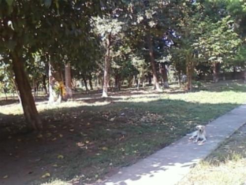 SAN FERNANDO DE LA COSTA