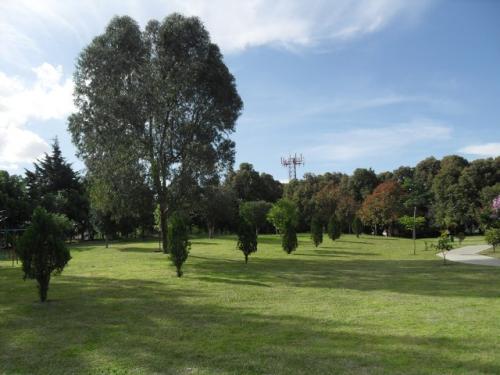 Terreno San Jorge # 1(499.57Mt2)