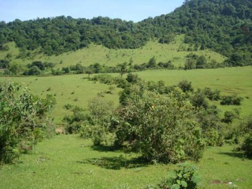 FINCA 42 MANZANAS EN SAN JOSE PINULA