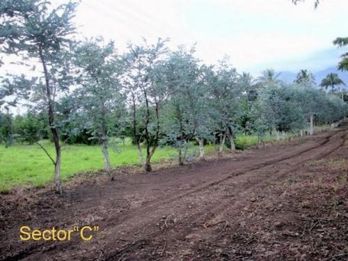 Terrenos en Q.116,000.00 de 23.41 X 36.08 Metros,Villa Canales