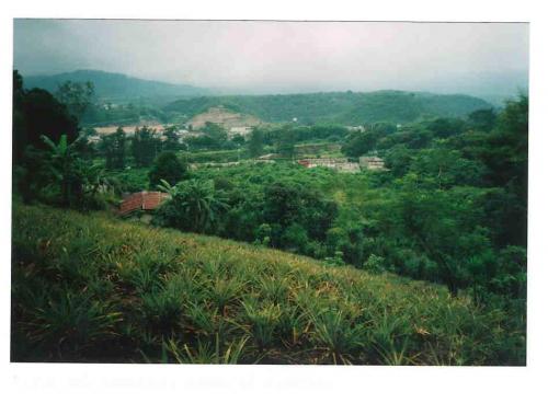 TERRENO EN GRANJAS GERONA ZONA 8 SAN MIGUEL PETAPA